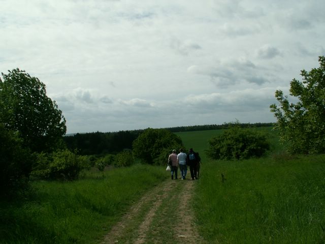 060521_PICT0008.JPG