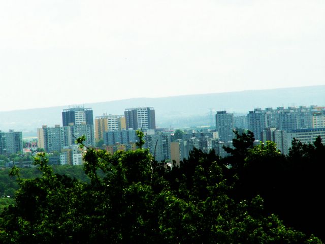 060521_PICT0009.JPG