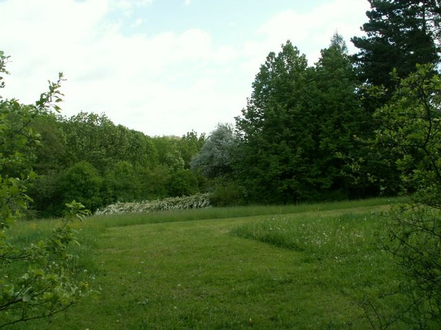 060521_PICT0010.JPG