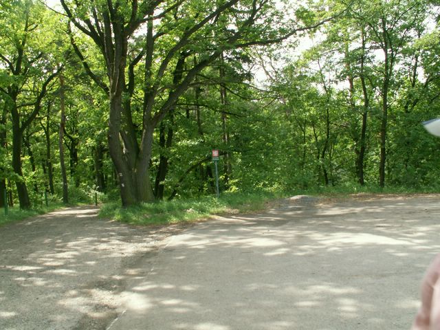 060521_PICT0011.JPG