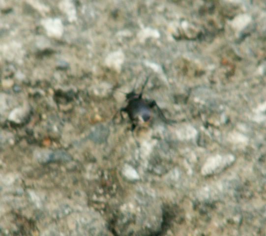 060521_PICT0013.JPG