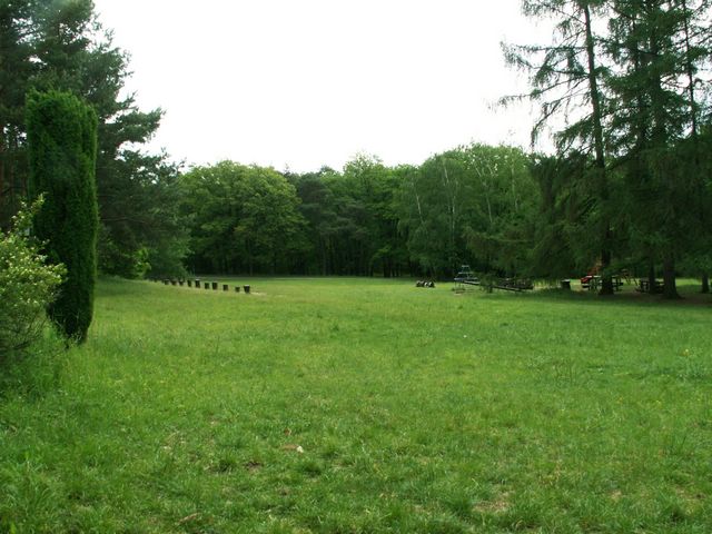 060521_PICT0030.JPG