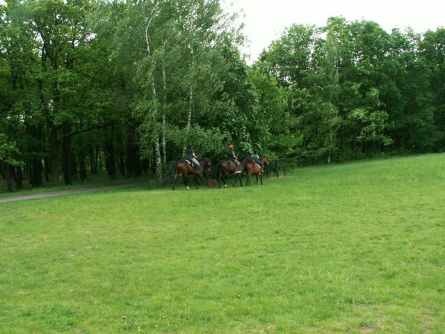 060521_PICT0033.JPG