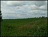 060521_PICT0007.JPG