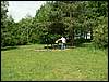 060521_PICT0021.JPG