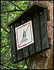 060521_PICT0026.JPG