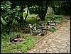 060521_PICT0037.JPG