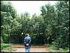 060521_PICT0038.JPG