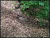 060521_PICT0056.JPG