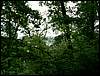 060521_PICT0057.JPG