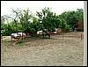 060521_PICT0071.JPG