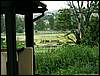 060521_PICT0078.JPG