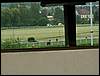 060521_PICT0084.JPG