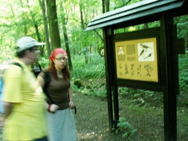 060705_PICT0012.JPG