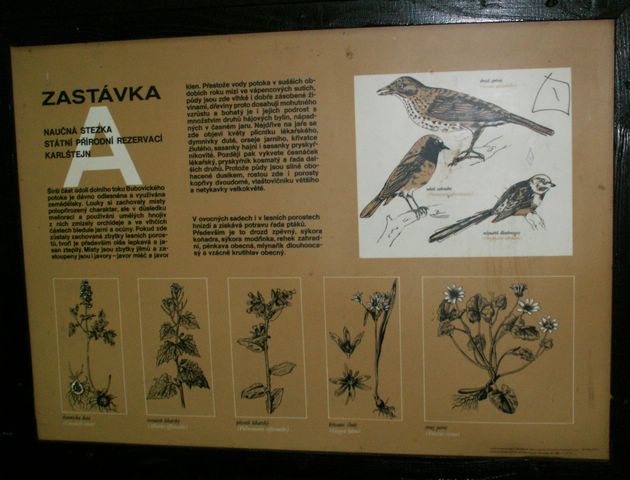060705_PICT0013.JPG