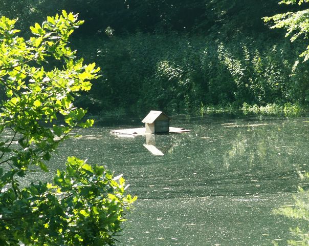 060705_PICT0015.JPG