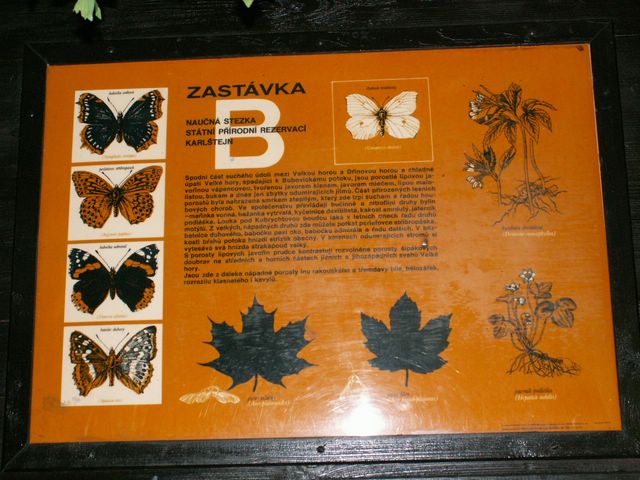 060705_PICT0019.JPG