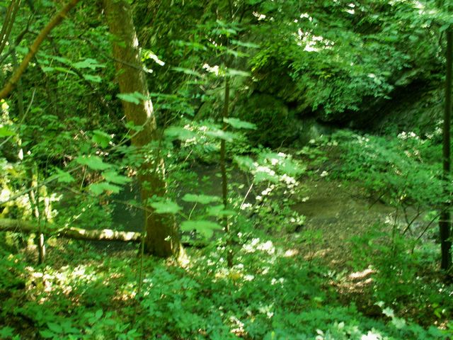 060705_PICT0030.JPG