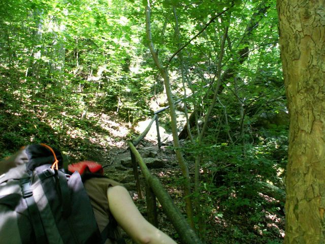 060705_PICT0031.JPG