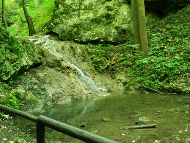 060705_PICT0032.JPG