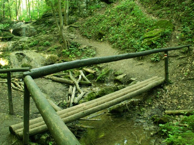 060705_PICT0033.JPG