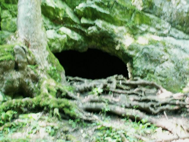 060705_PICT0035.JPG