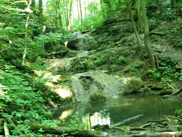 060705_PICT0036.JPG