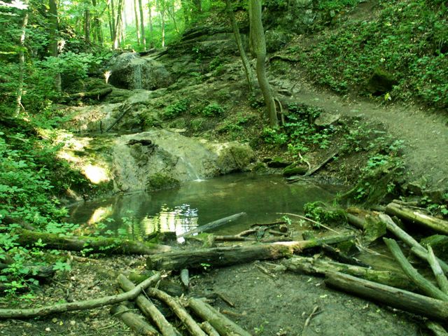 060705_PICT0037.JPG