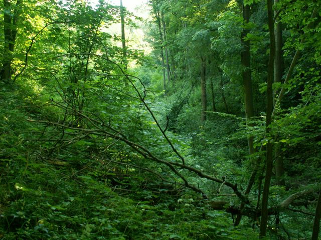 060705_PICT0040.JPG