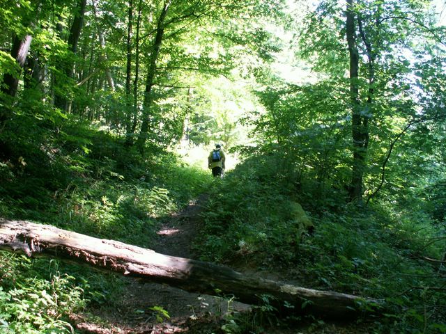 060705_PICT0041.JPG