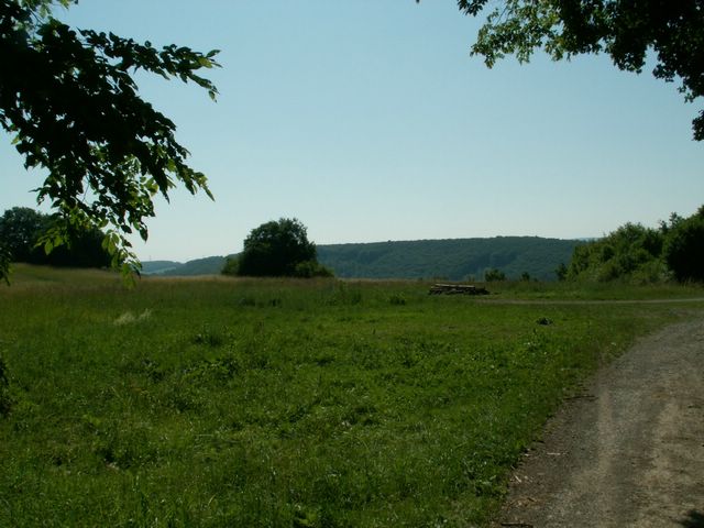 060705_PICT0044.JPG