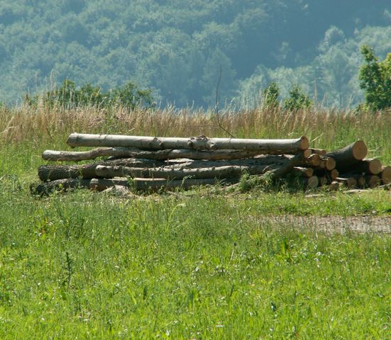 060705_PICT0045.JPG