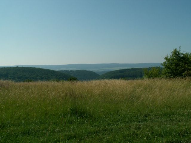 060705_PICT0046.JPG