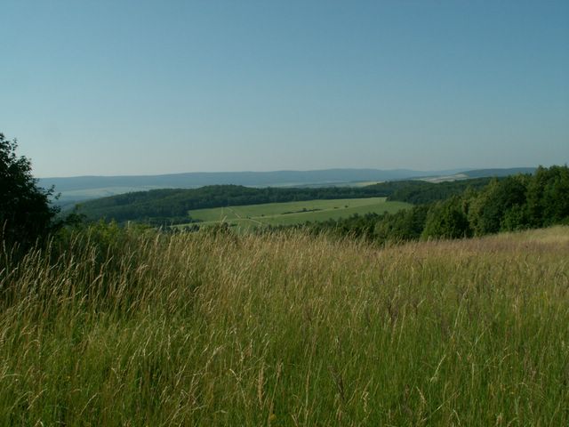 060705_PICT0049.JPG