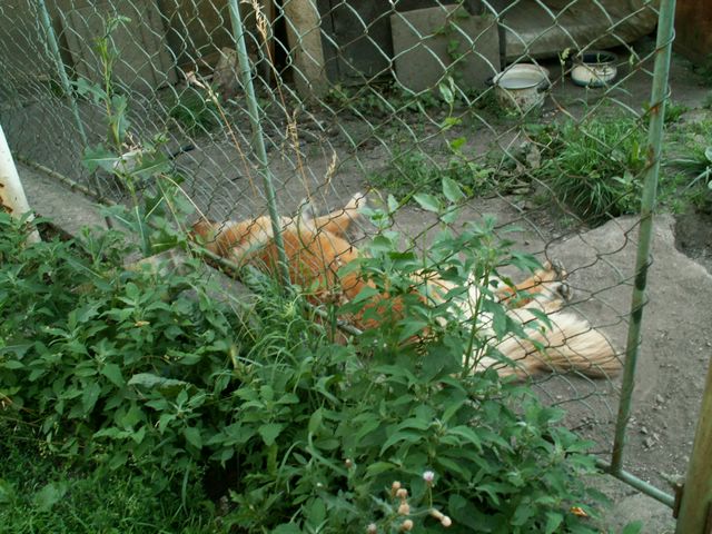 060705_PICT0105.JPG