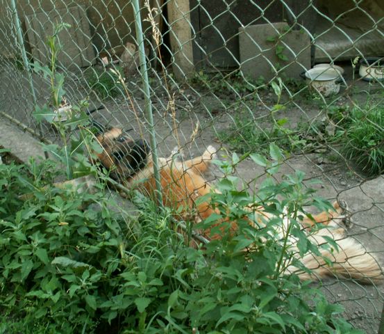 060705_PICT0106.JPG