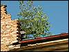 060705_PICT0010.JPG