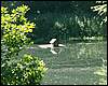 060705_PICT0015.JPG
