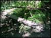 060705_PICT0022.JPG