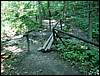 060705_PICT0023.JPG
