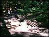 060705_PICT0024.JPG