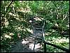060705_PICT0027.JPG