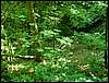 060705_PICT0030.JPG