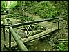 060705_PICT0033.JPG