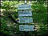 060705_PICT0034.JPG