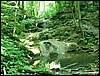 060705_PICT0036.JPG