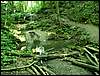 060705_PICT0037.JPG