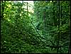 060705_PICT0040.JPG