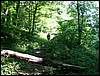 060705_PICT0041.JPG