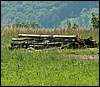 060705_PICT0045.JPG